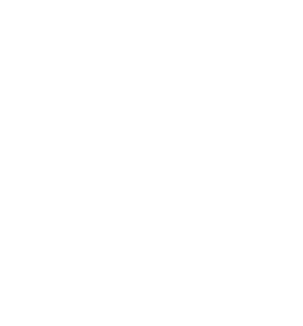 Ingram Micro Showcase